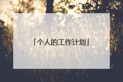 个人的工作计划