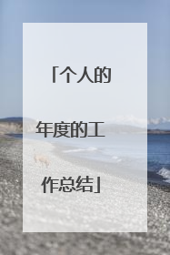 个人的年度的工作总结
