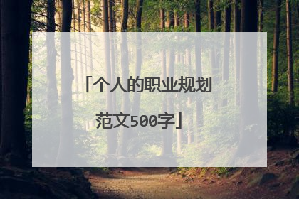 个人的职业规划范文500字
