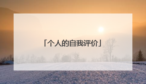 个人的自我评价