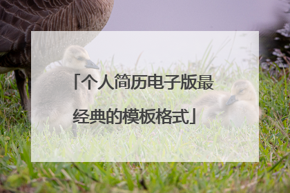 个人简历电子版最经典的模板格式