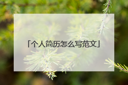 个人简历怎么写范文