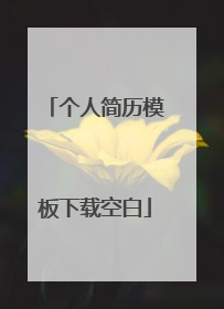 个人简历模板下载空白