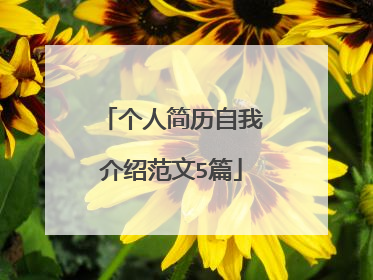 个人简历自我介绍范文5篇