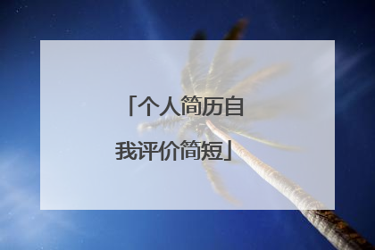 个人简历自我评价简短