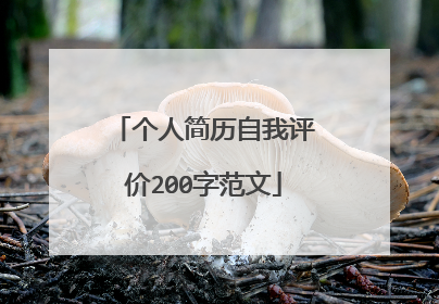 个人简历自我评价200字范文