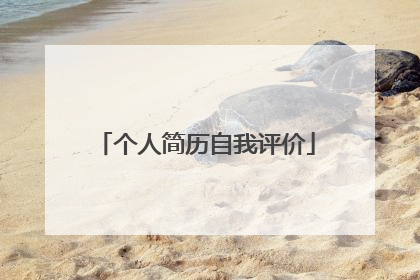 个人简历自我评价