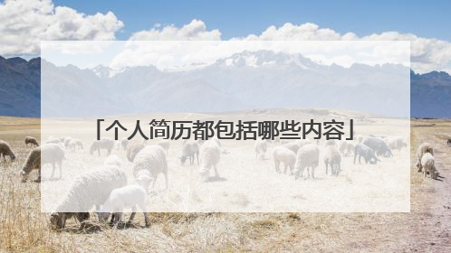 个人简历都包括哪些内容