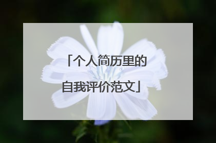 个人简历里的自我评价范文
