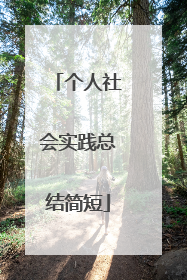 个人社会实践总结简短
