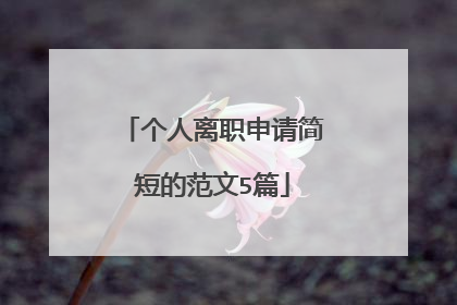 个人离职申请简短的范文5篇