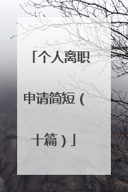 个人离职申请简短(十篇)
