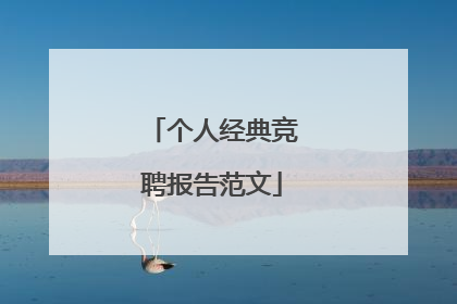 个人经典竞聘报告范文