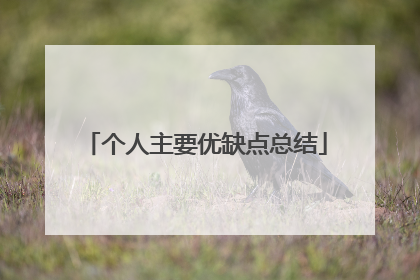 个人主要优缺点总结
