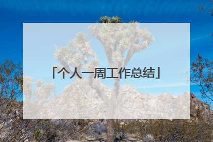 个人一周工作总结