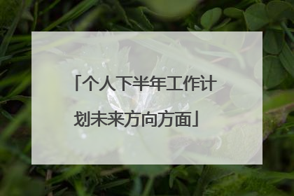个人下半年工作计划未来方向方面