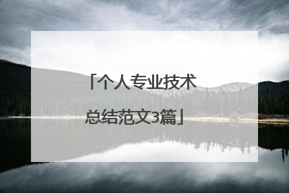 个人专业技术总结范文3篇