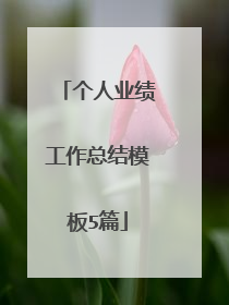 个人业绩工作总结模板5篇