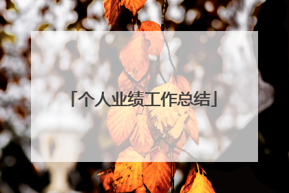 个人业绩工作总结