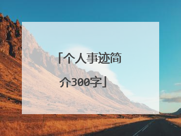 个人事迹简介300字