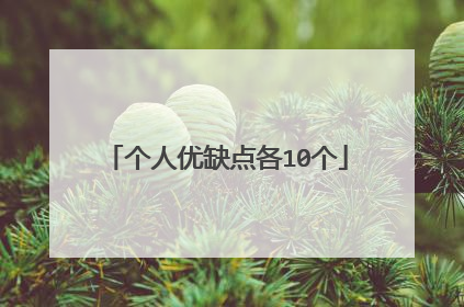 个人优缺点各10个