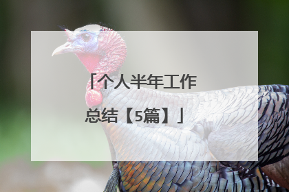 个人半年工作总结【5篇】