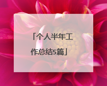 个人半年工作总结5篇