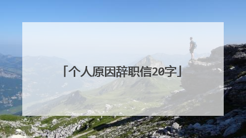 个人原因辞职信20字