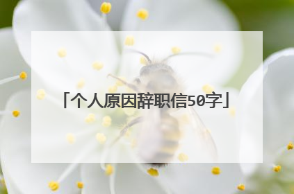 个人原因辞职信50字