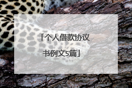 个人借款协议书例文5篇