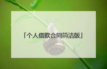 个人借款合同简洁版
