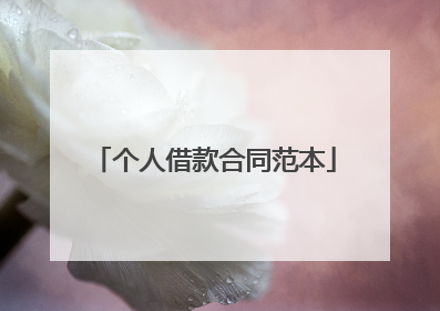 个人借款合同范本