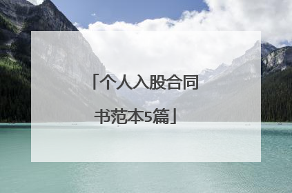 个人入股合同书范本5篇