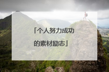 个人努力成功的素材励志
