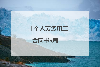 个人劳务用工合同书5篇