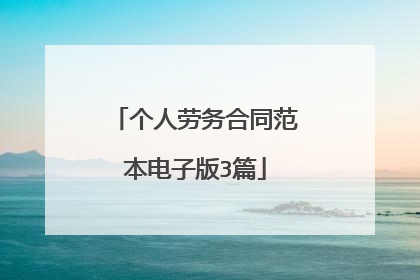 个人劳务合同范本电子版3篇