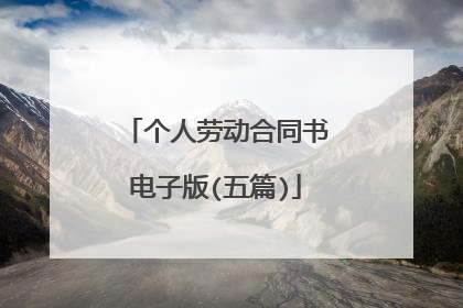 个人劳动合同书电子版(五篇)