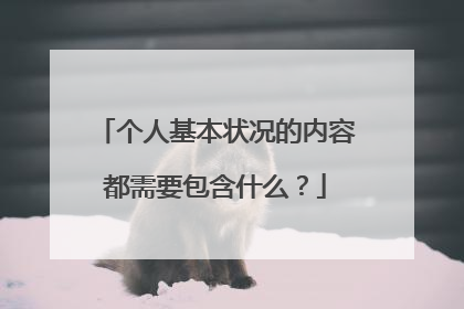个人基本状况的内容都需要包含什么?