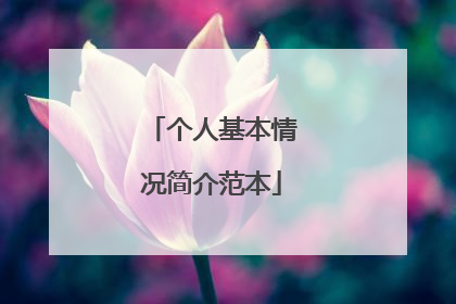 个人基本情况简介范本