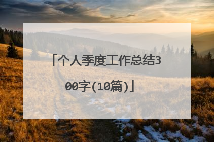 个人季度工作总结300字(10篇)