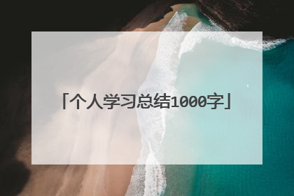 个人学习总结1000字