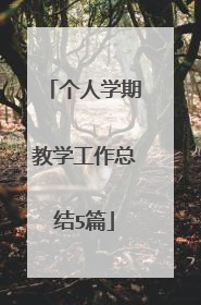 个人学期教学工作总结5篇