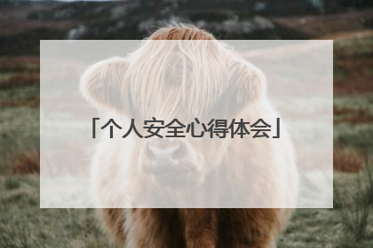 个人安全心得体会