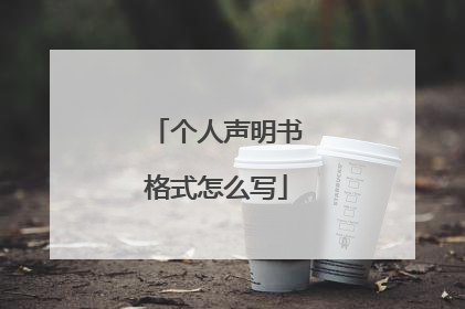 个人声明书格式怎么写