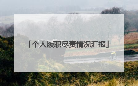 个人履职尽责情况汇报