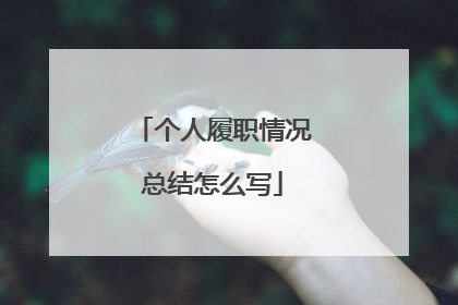 个人履职情况总结怎么写