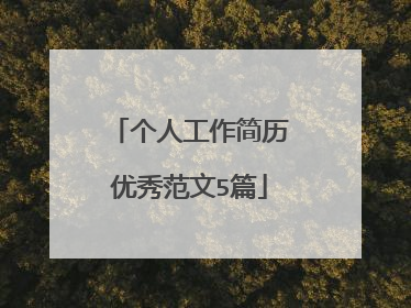 个人工作简历优秀范文5篇