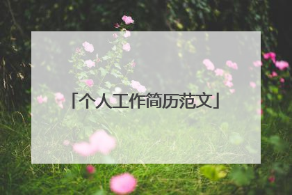 个人工作简历范文