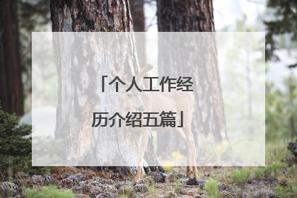 个人工作经历介绍五篇