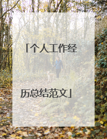 个人工作经历总结范文